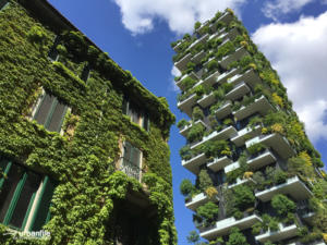 sola Bosco Verticale 4 1024 768